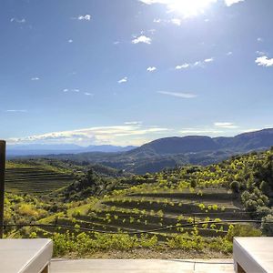 Trossos Del Priorat